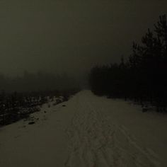 a snow covered road with trees and bushes on both sides in the distance, at night