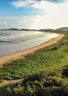people are walking on the beach near the water and grass along the shore, with an ocean in the background