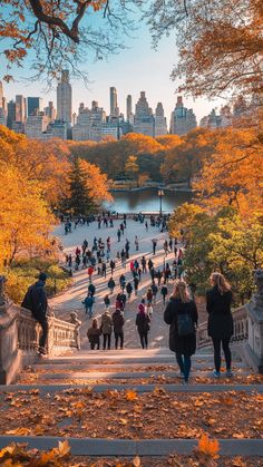 A scenic view of people walking down the steps towards Central Park, surrounded by vibrant autumn foliage, with the New York City skyline in the background under a clear blue sky.