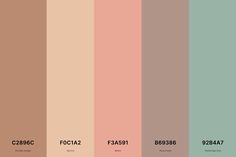 the color palette is shown with different shades