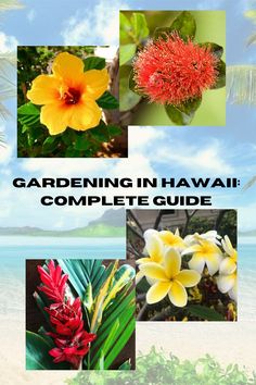 the cover of gardening in hawaii complete guide, with pictures of tropical flowers and palm trees