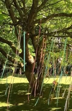 a tree with streamers hanging from it's branches
