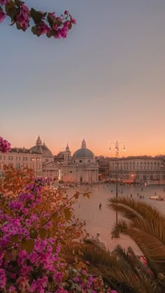 the sun is setting over a large body of water with buildings in the background and pink flowers