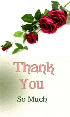 thank you so much card with red roses and green leaves on the bottom right corner
