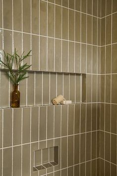 there is a vase with a plant in it on the shelf next to the shower