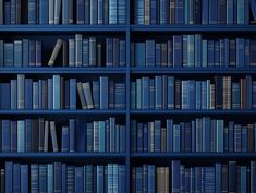 a blue book shelf filled with lots of books