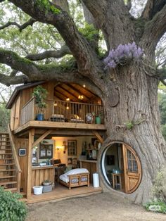 a tree house built into the side of a large tree