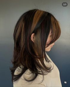 Brown Hair With Light Brown Streaks, Calico Hair With Black, Dye Ideas For Black Hair, Black Ends On Brown Hair, Animal Inspired Hair Dye, Cool Calico Hair, Block Highlights Hair, Layered Hair With Peekaboo Color, Balayage Black Roots