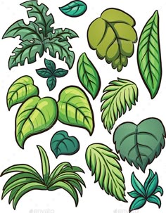 green plants and leaves on a white background - flowers & plants nature / animals characters
