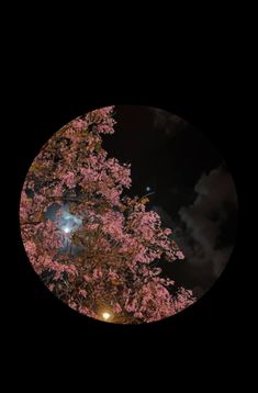 a tree with pink flowers in front of a dark sky at night, seen through a circular lens