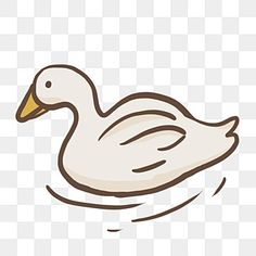 a white duck swimming in the water with its head turned to look like it's floating