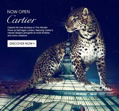an advertisement for the new catier store featuring two leopards on top of a building