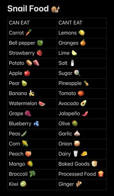 an image of food that includes fruits and vegetables