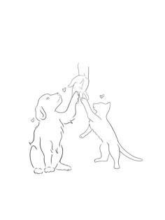 two cats and a dog playing with each other