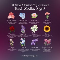 the zodiac sign for which flower represents each zodiac sign, and how to use it