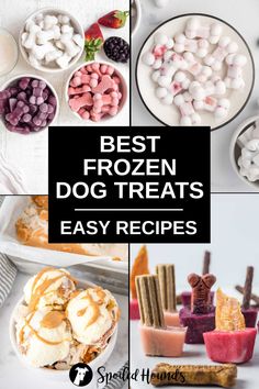the best frozen dog treats are easy to make