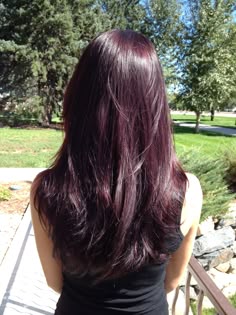 Plum Hair, Schöne Rote Haare, Wine Hair, Red Hair Inspo, Violet Hair, Dark Red Hair, Cherry Hair, Hair Tint, Burgundy Hair
