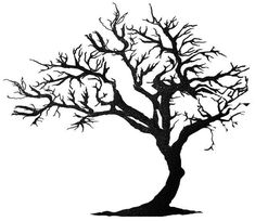 a black and white drawing of a tree with no leaves on the branches, in front of a white background