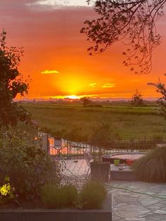 the sun is setting over an open field with trees and flowers in it, as seen from a patio
