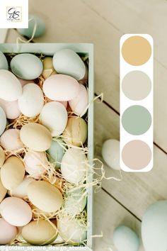 an image of eggs in a box with color swatches