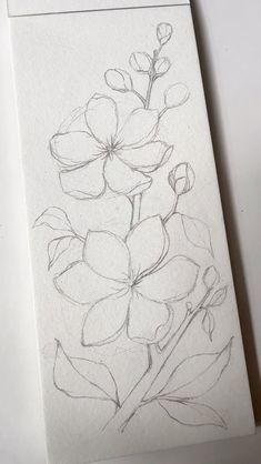 a drawing of some flowers on a piece of paper