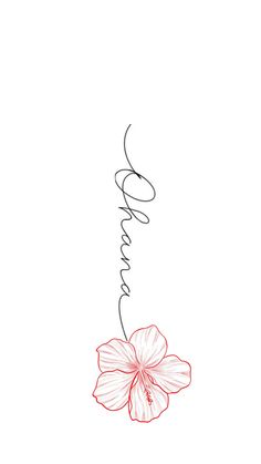 a drawing of a flower with the word love written on it's bottom corner