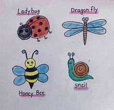 four different kinds of bugs and ladybugs on a white paper with the words lady bug, dragon fly, snail