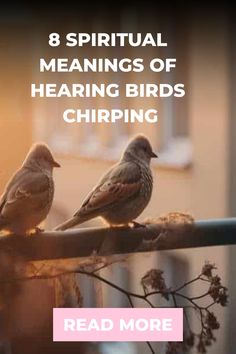 two birds sitting on top of a railing with the words, 8 spiritual meaningss of hearing birds chirping read more