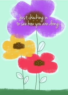 flowers with the words just checking in to see how you are doing