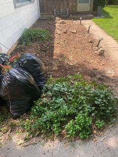 some trash bags sitting on the side of a house next to bushes and grass in front of a building