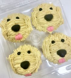 four cupcakes with frosting and dog faces on them in a plastic container