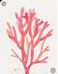 a watercolor painting of pink corals on white paper