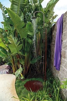 an outdoor shower surrounded by lush green plants