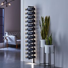 a tall wine rack next to a potted plant