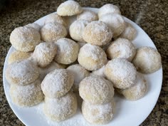 powdered sugar coated donuts on a white plate