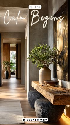 the front cover of a magazine with an image of a vase and plant on a table