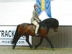a woman riding on the back of a brown horse