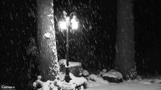 a street light covered in snow next to a pole and lamp post at night time
