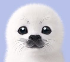 a close up of a baby seal with big eyes