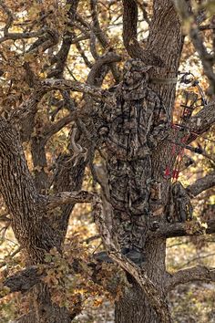 an animal that is standing in the grass next to some trees and branches with leaves on it