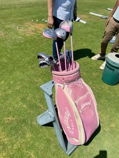 a pink golf bag sitting on top of a green field