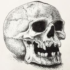 a black and white drawing of a human skull