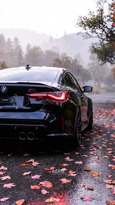 Autumn's glow meets asphalt art. 🌸 There's a special kind of magic when the world turns a dreamy shade of pink, and the road becomes a canvas. Every reflection, every fallen leaf, every curve of the car tells a story. Which shot captures the mood best for you? 1-6?

#CarAesthetics #AutumnVibes #PinkAesthetic #BlackCar #BMW #MercedesAMG #CarPhotography #AutomotivePhotography #FallAesthetic #Dreamy #MoodyGrams #CarsofInstagram #Petrolhead #Stance #Fitment #BMWM #BMWM4 #AMG #CarPorn #AutumnDrive...