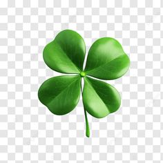 four leaf clover on a transparent background