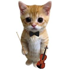 an orange kitten wearing a bow tie and holding a violin on its hind legs, while standing up against a white background