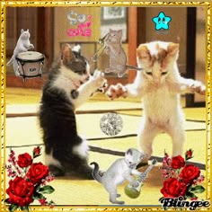 two kittens playing with each other in front of a photo frame that has roses and cats on it