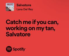 a red background with the words catch me if you can, working on my tan, salvatore