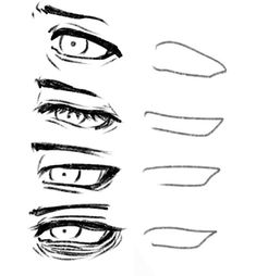 an image of different eyes drawn in pencil