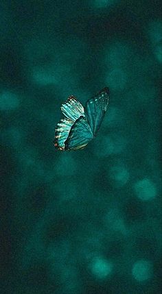 Cyan Iphone Wallpaper, Dark Teal And White, Teal Color Wallpaper, Color Teal, Blue Teal, Teal Green Wallpaper, Dark Teal Green, Dark Blue Green Aesthetic, Peacock Blue Aesthetic