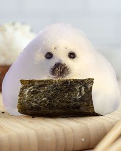 a small white animal sitting on top of a piece of sushi next to chopsticks